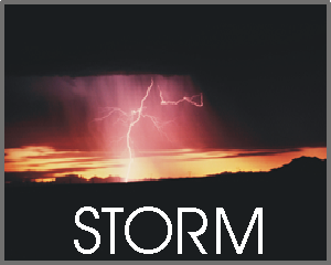 STORM logo